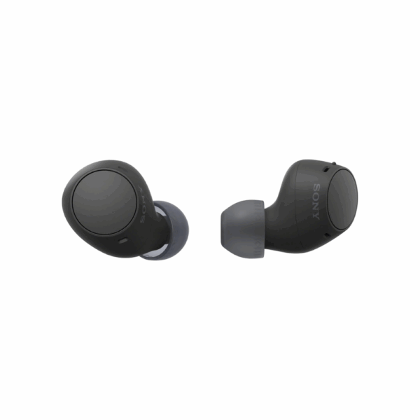 Sony WF-C510 Truly Wireless in-Ear Bluetooth Earbuds
