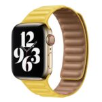 COTEetCI Double Magnetic Watch Strap for Apple Watch 42/45/45mm - Image 3